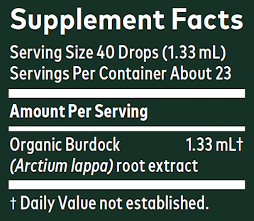 Burdock Root